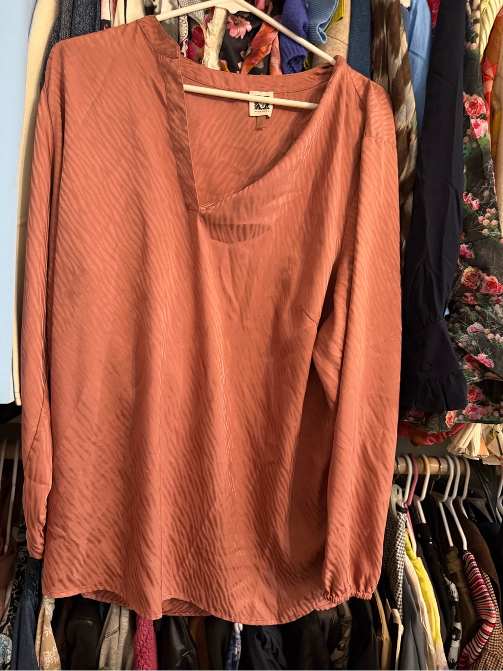 Anne Klein Rust-Tone Long Sleeve V-Neck Blouse 2x